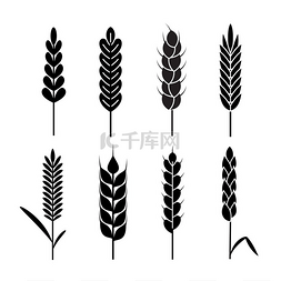 收割图标图片_小麦穗图标有机农业谷物收割黑麦
