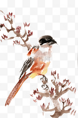 水墨画彩色图片_梧桐枝上的小鸟水墨