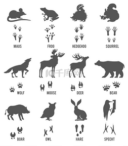 手绘卡通森林动物图片_组的动物和鸟步道