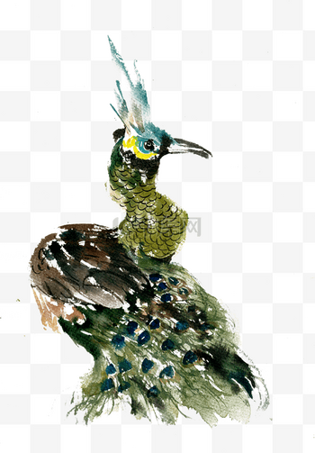 水墨画　孔雀 郭丙端书画| Ink painting peacock and pine. 100*50cm 心随孔雀