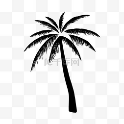 树木剪影椰子树