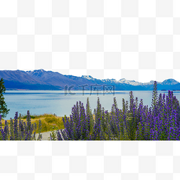 新西兰元素图片_新西兰户外风景