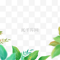 描线叶子图片_夏季植物叶子底框树叶