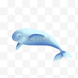 海洋生物江豚