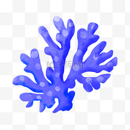蓝珊瑚海底生物图片卡通