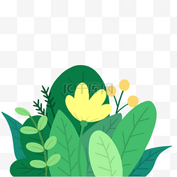 植物图片_绿色植物组合