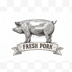 手绘卡通猪猪元素图片_图形的猪和标签