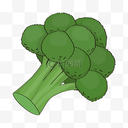 西兰花剪贴画绿色花椰菜蔬菜
