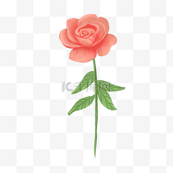 玫瑰唯美图片_花卉彩铅唯美风格