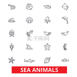 可编辑的图片_海洋动物、 海洋动物、 海豚，八