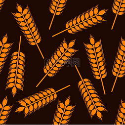成熟的小麦穗呈无缝图案黄色颗粒