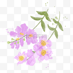 紫红色花卉图片_紫薇花水彩风格花朵树枝