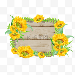 浅色木板图片_夏季向日葵花卉浅色木板边框