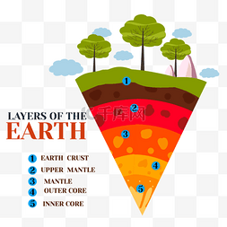 大树图表图片_地球层切面植物图表