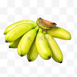香蕉皇帝蕉