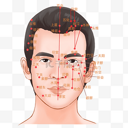 正面管教情感脸谱图片_头部正面穴位图中医