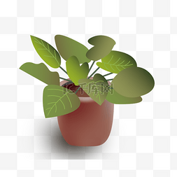 卡通植物装饰背景图片_仿真卡通室内植物盆栽剪贴画