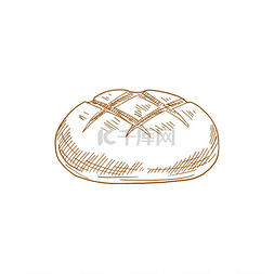 热腾腾的面粉图片_小麦面包面包孤立的烘焙产品草图
