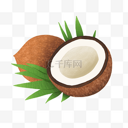 夏天食物椰子