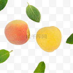 新鲜水果杏白水杏
