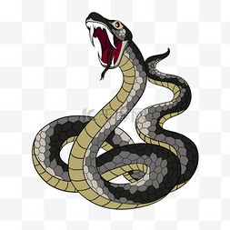 彩色动物图案图片_毒蛇动物纹身图案