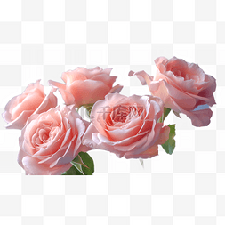 高清光圈图片_高清免扣花卉摄影粉玫瑰设计素材