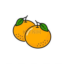 绿色线条图标图片_中国橙色的新年节日水果绿色的叶