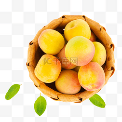 新鲜水果杏白水杏杏子