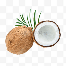椰子椰子树食品水果