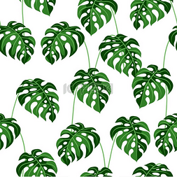 热带茂密植物图片_无缝图案饰梦蝶树叶热带丛林植物