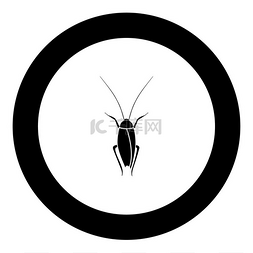 驱虫剂图片_圆圈中的蟑螂图标为黑色孤立的圆
