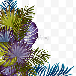 手绘彩色棕榈叶夏天特色边框