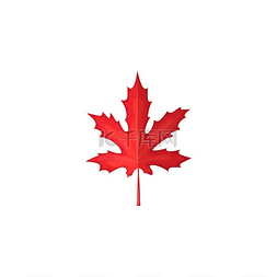 加拿大树叶图片_枫叶红色，秋天和秋天的树叶图标