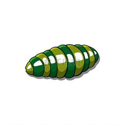 条纹毛毛虫绿色管状身体孤立的昆