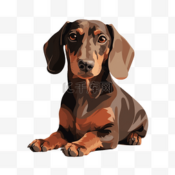 腊肠狗卡通图片_扁平插画手绘腊肠狗
