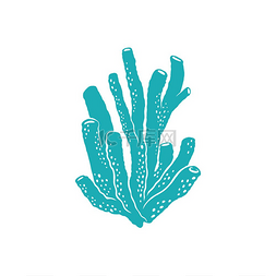 海底水族馆图片_海藻与气泡管隔离软珊瑚图标矢量