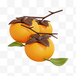 3D立体橘色秋季柿子果实水果