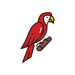 红色金刚鹦鹉图片_金刚鹦鹉异国情调的鹦鹉鸟海盗船
