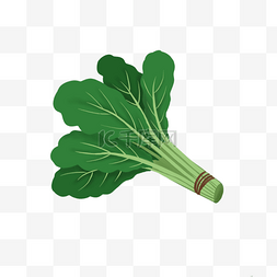 菠菜画图片_一捆绿色菠菜剪贴画