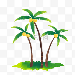 24节气植物图片_小暑椰子树树木