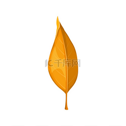 树叶子纹理图片_秋天的叶子是黄色的秋天的图标是