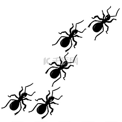 蚂蚁踪迹矢量插图