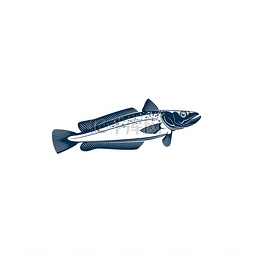 海科融通logo图片_鳕鱼一样的鱼孤立的图标箭鱼科和