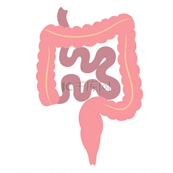肠道图标图片_肠道内部器官的插图人体解剖学医