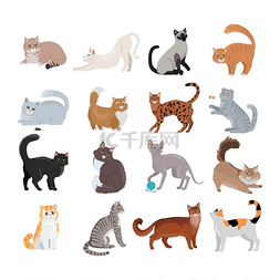 集合条纹图片_与猫的图标集。