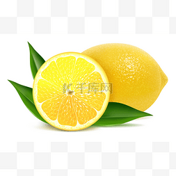新鲜柠檬叶