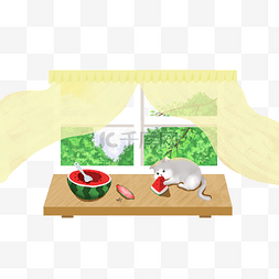 吃西瓜场景图片_夏季窗户桌子猫咪吃西瓜