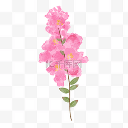 花草树的装饰图片_紫薇花水彩风格花卉粉红色