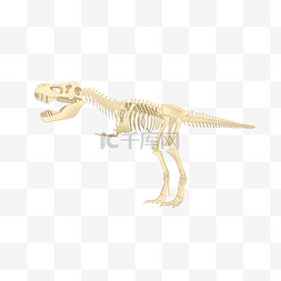 恐龙骨骨架