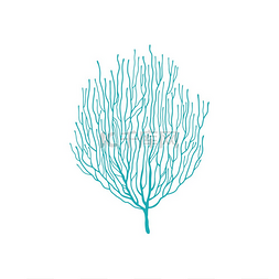 水族馆世界图片_柔软的珊瑚蓝色顶孢分支孤立的图
